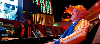 Вход на официальный сайт Vulkan Stavka Casino